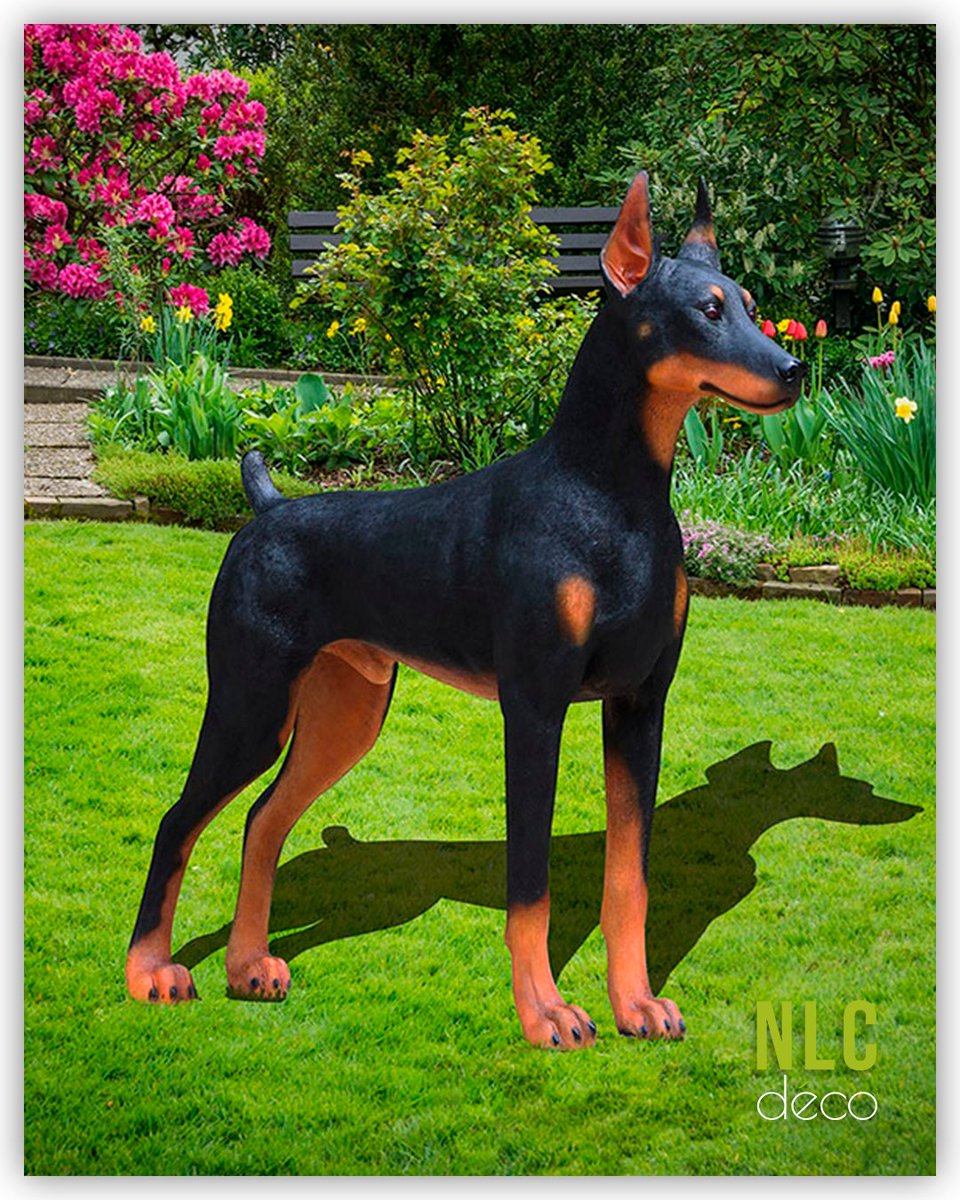 NLC DECO tweet media