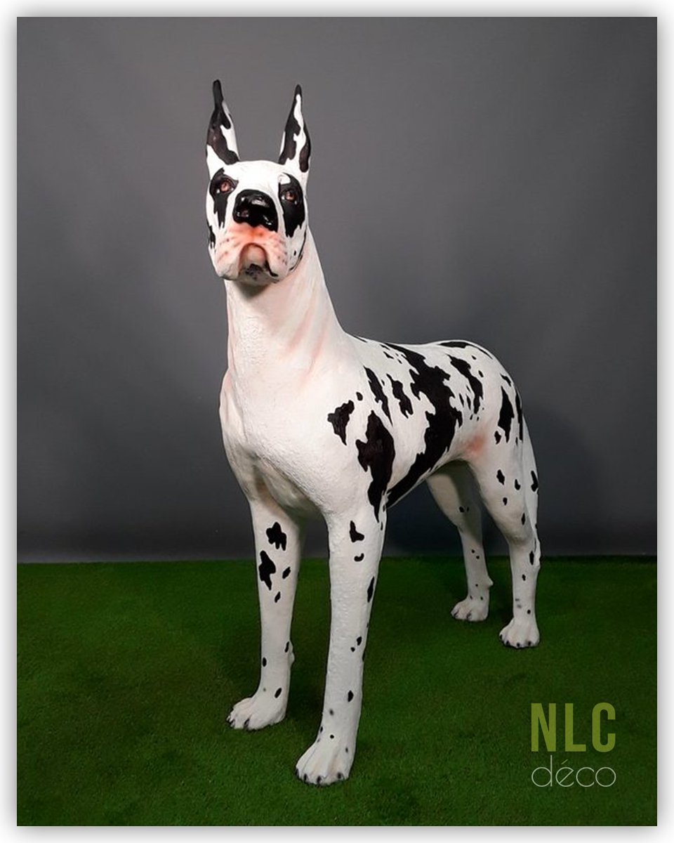 NLC DECO tweet media