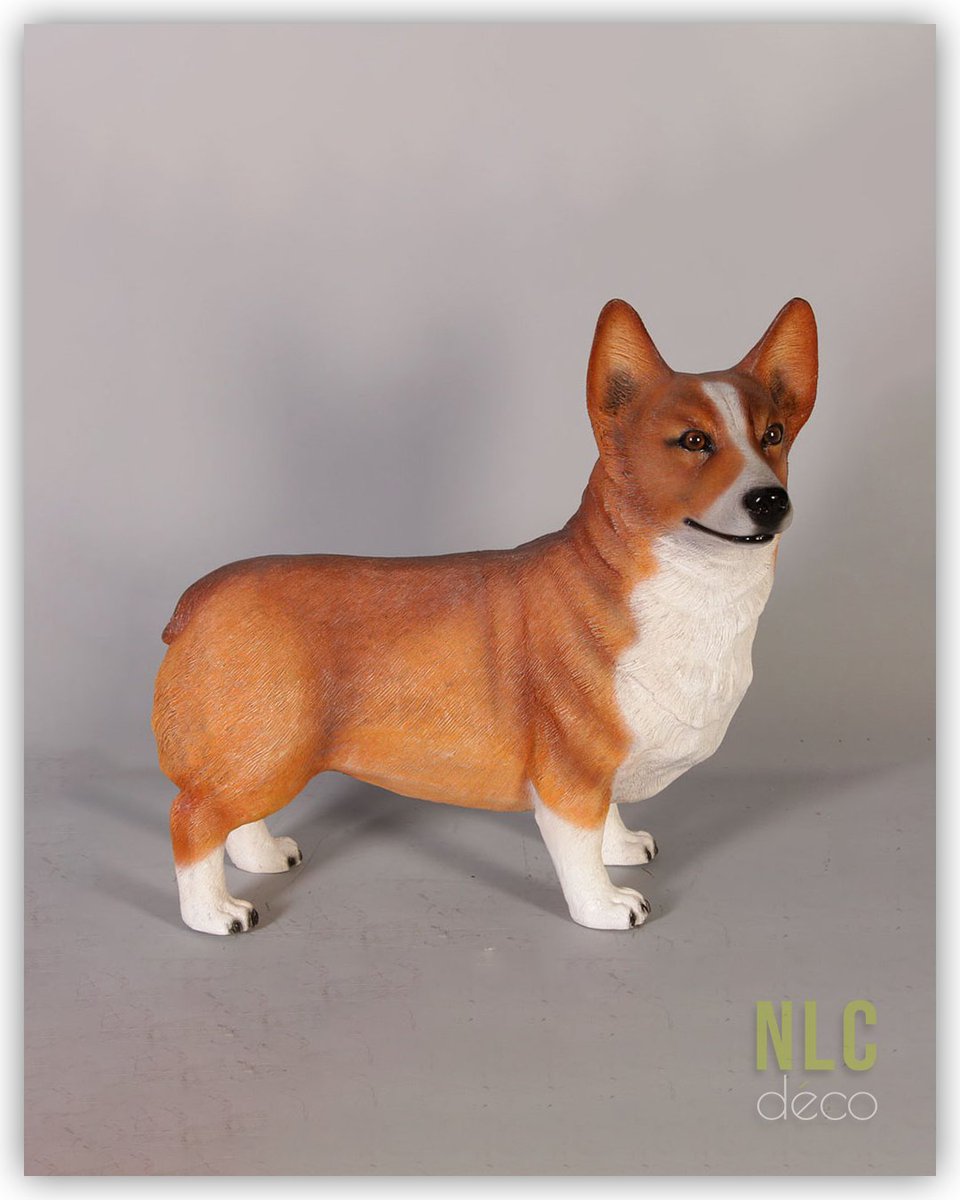 NLC DECO tweet media