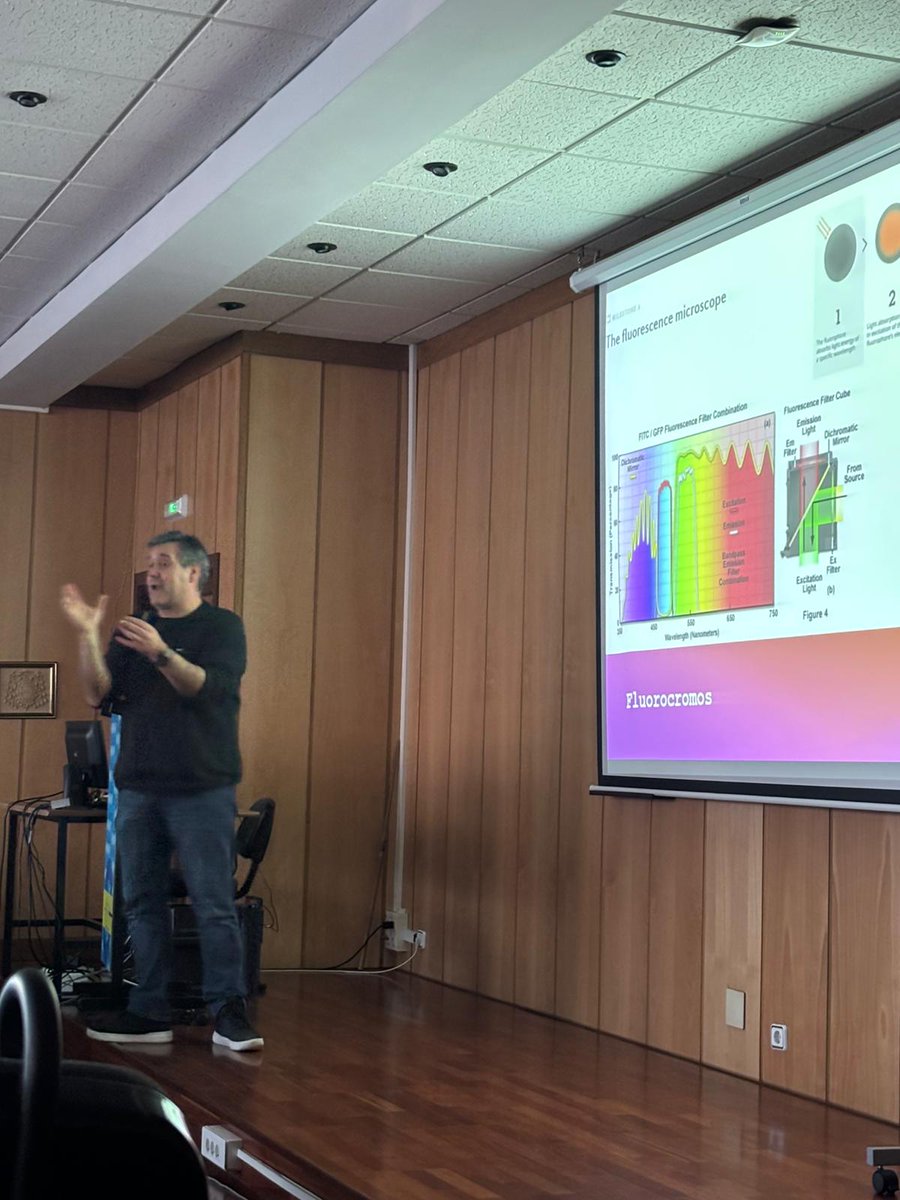 Olimpiada Asturiana de Biología OAsB tweet media
