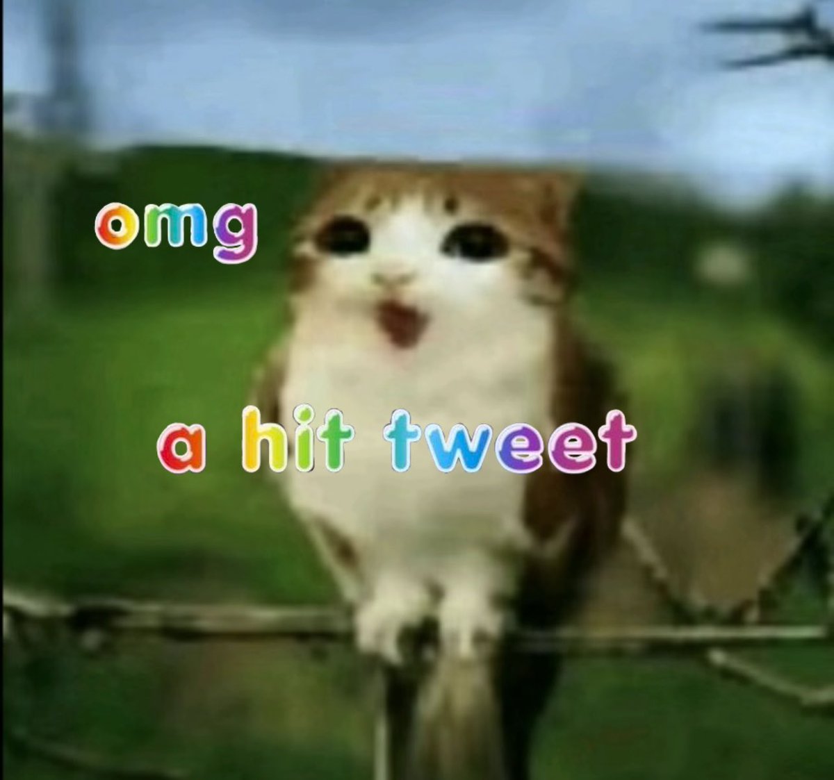 Ezgi tweet media