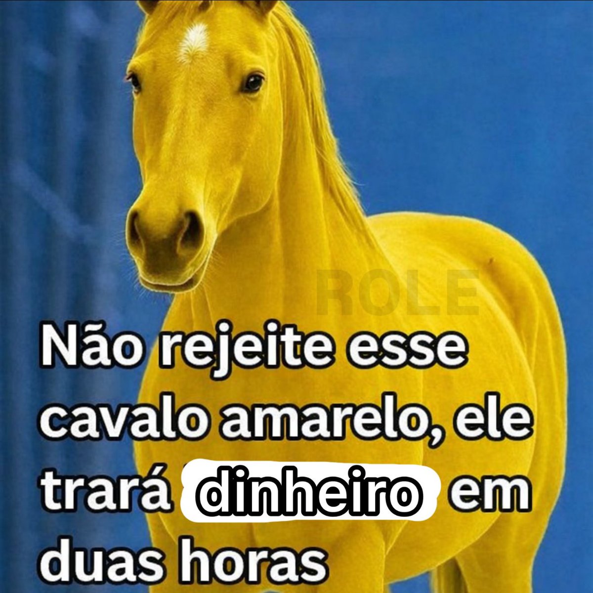 rolealeatorio's tweet image. 