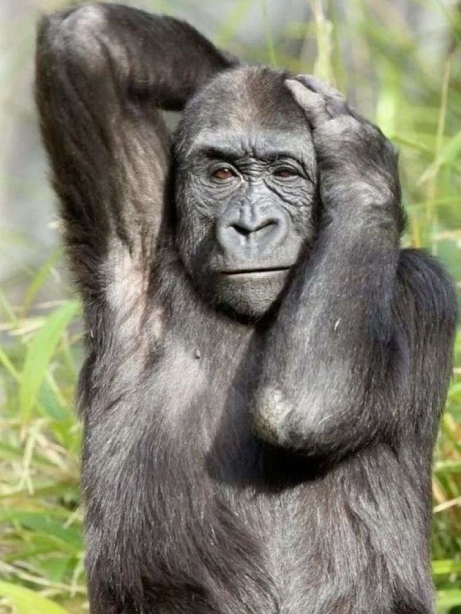 overflowlightup's tweet image. 안녕 유우야