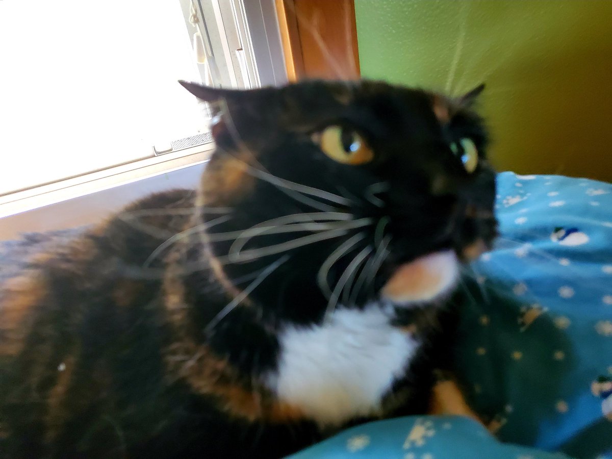 Sweetie's face says it all - mommy, stay away from daddy, he's mine and mine alone, no sharing.