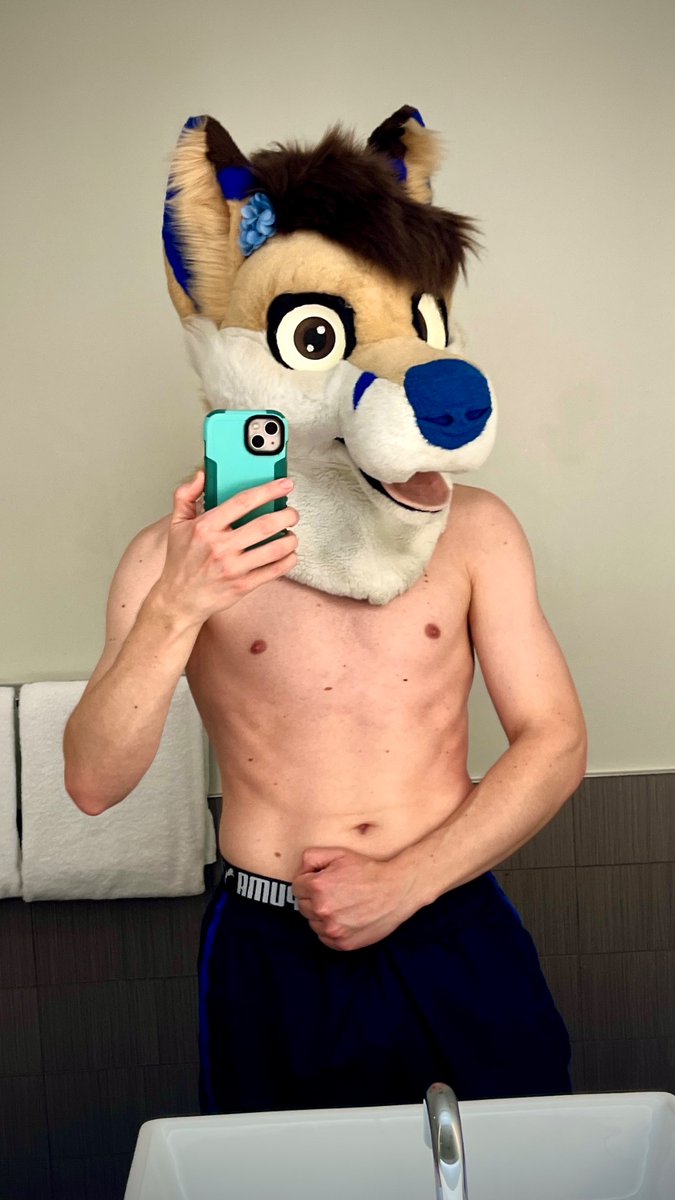 💙TJ Fox💛 @ Furlingame 2026 ∞🌈 tweet media