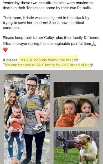 Champion Jeep tweet media