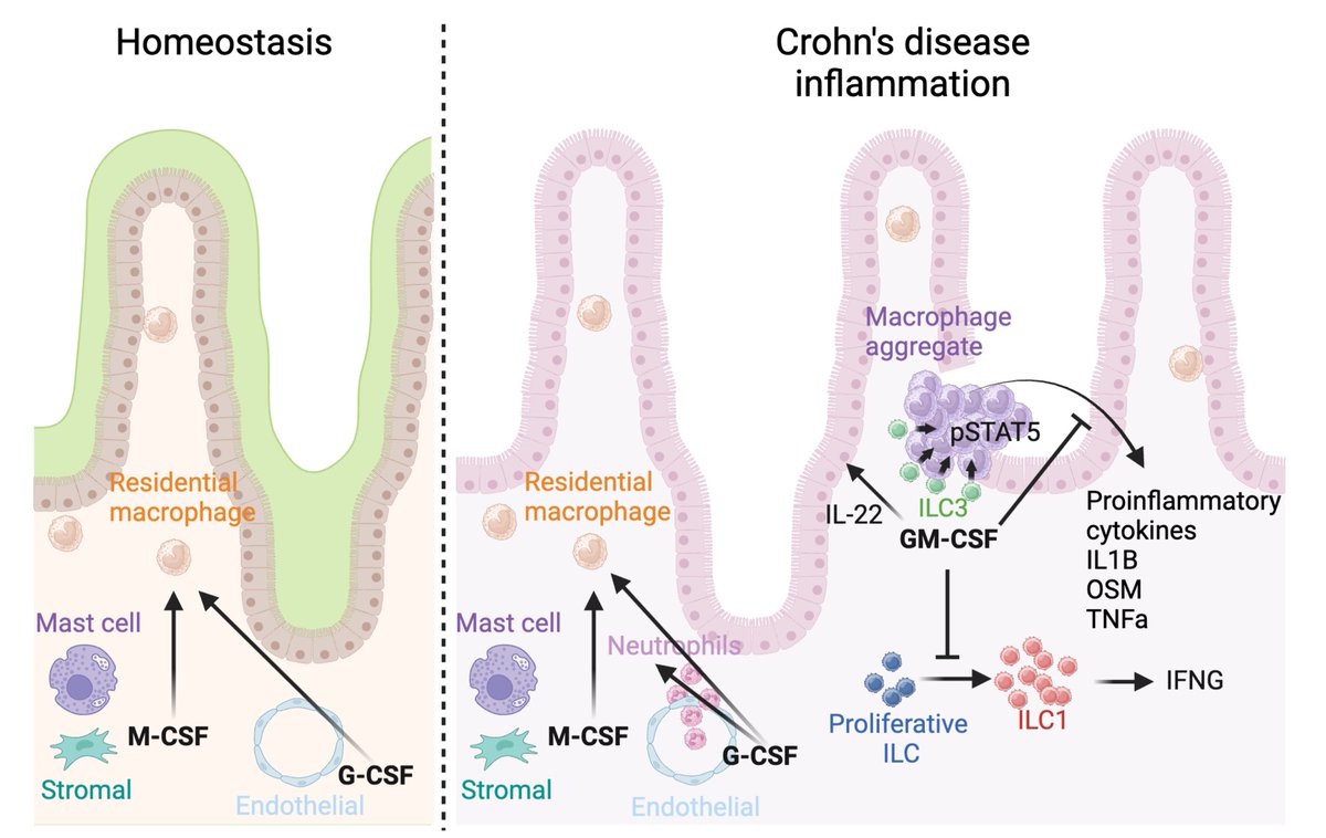 Ling-shiang (Felix) Chuang, Ph.D. tweet media