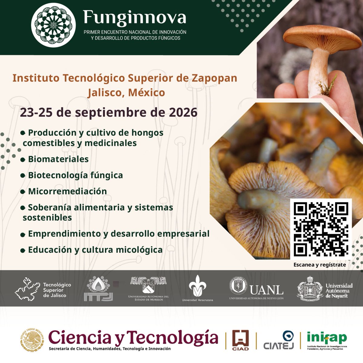 CIATEJ's tweet photo. El #CIATEJ, @ciadmx e @inifap te invitan al Primer Encuentro Nacional de Innovación y Desarrollo de Productos Fúngicos: Funginnova 2026🍄
👨🔬🍄👩🔬 Más información: https://t.co/pRLPuuok62
#funginnova #fungicommunity #hongos #innovación https://t.co/SVus0QO8PF
