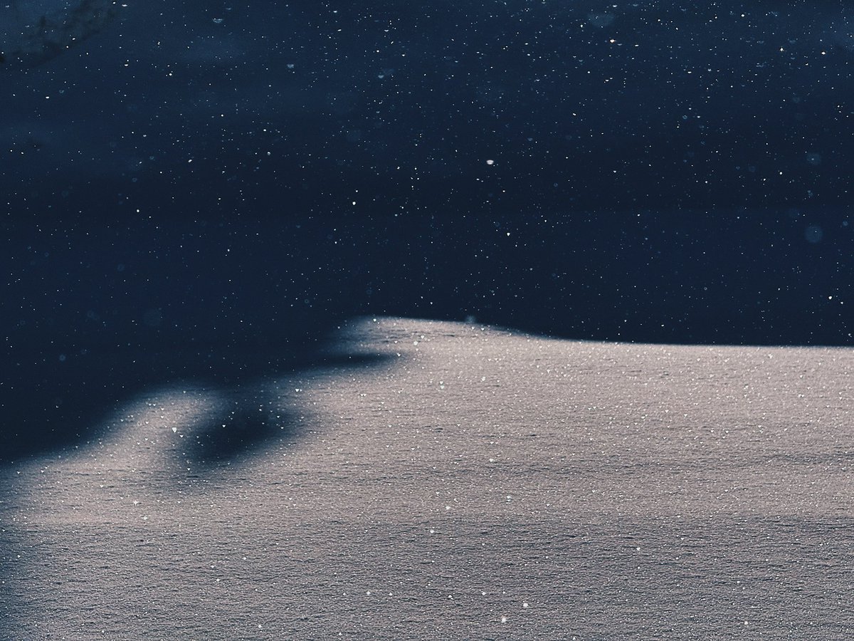 Natsuho Yamanaka tweet media