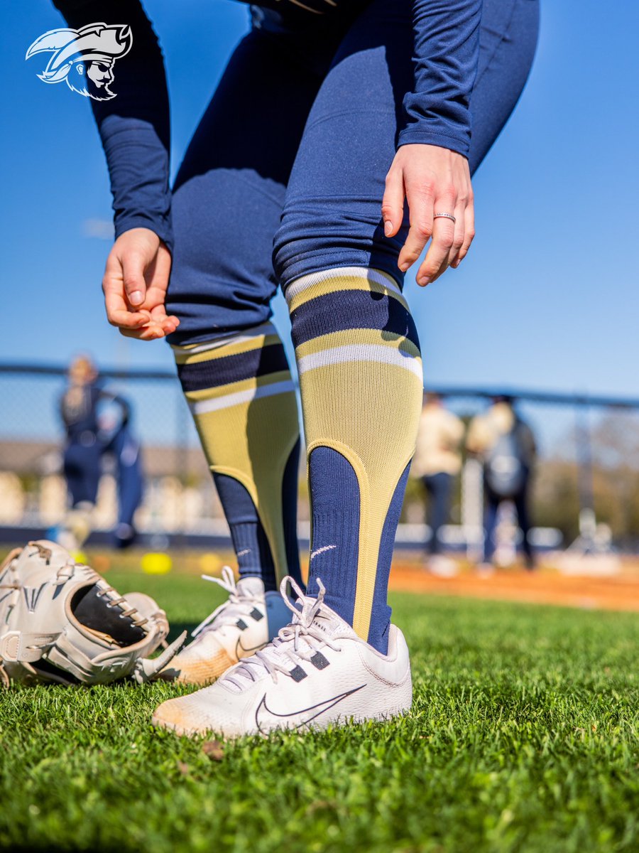 Charleston Southern Softball tweet media