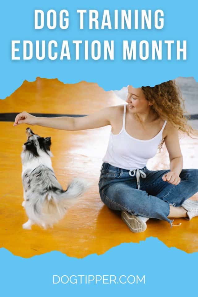 Did you know that February is Dog Training Education Month? dogtipper.com/dog-training-e…