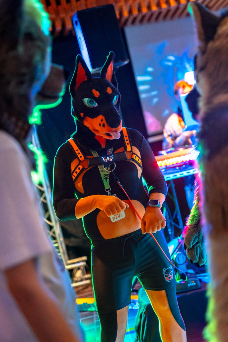 Let me present my brand new FLUFFY Doberman form! 🎉

📸: <a href="/k44chu/">Kachu</a>