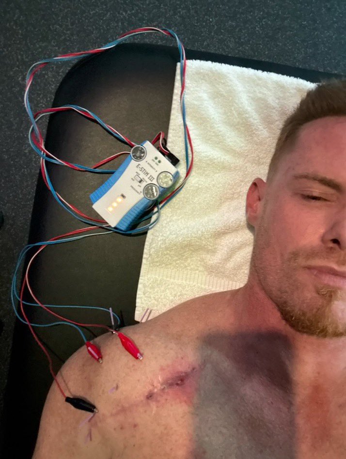 🦣Tanimal tweet media