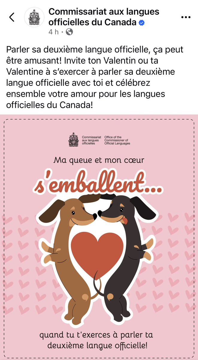 Mathieu Lacombe tweet media