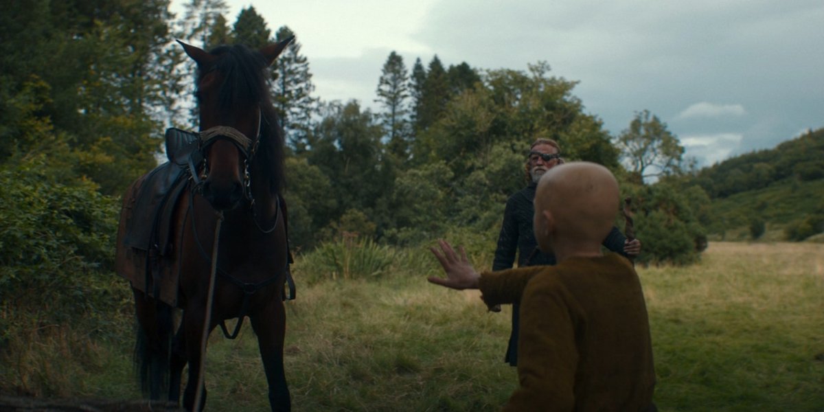 He looks like Guildford and acts awfully smart for a horse. A new headcanon is born.