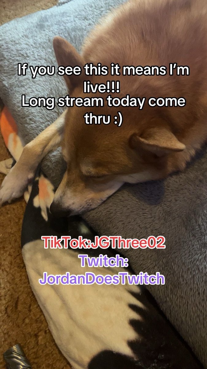 Jordan/JG3 🥶❄️ (@jgthree02) on Twitter photo 