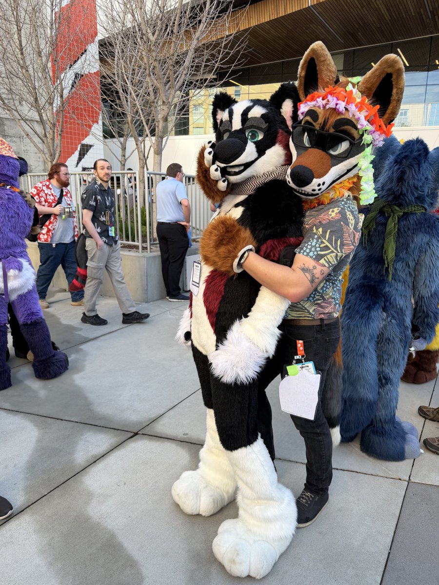 EditTheFox's tweet photo. I’m gonna touch @PilsenbyDesign 

#FursuitFriday #FC26 https://t.co/OIN48Aq0Db