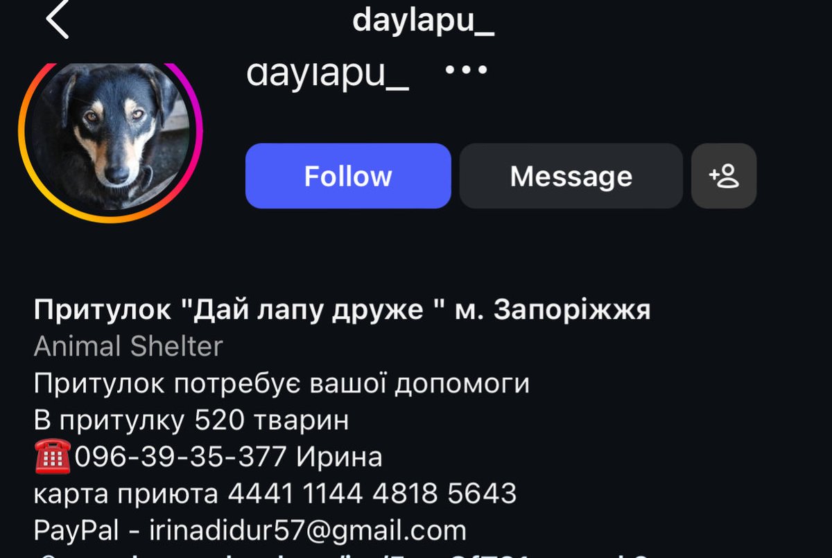 faux_soul's tweet image. russia struck a dog shelter in my hometown, killing 13 and critically injuring more than 20 dogs, along with their volunteer caretaker 

If anyone can help-here is their Instagram,but be aware that they documented the heartbreaking and devastating result of the attack.
Thank you.