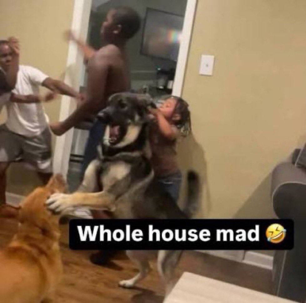 wisegirlfied's tweet image. walker saying percy and thalia do nothing but bicker and fight and now leah is saying luke and annabeth are constantly arguing as well. 

season 3 :