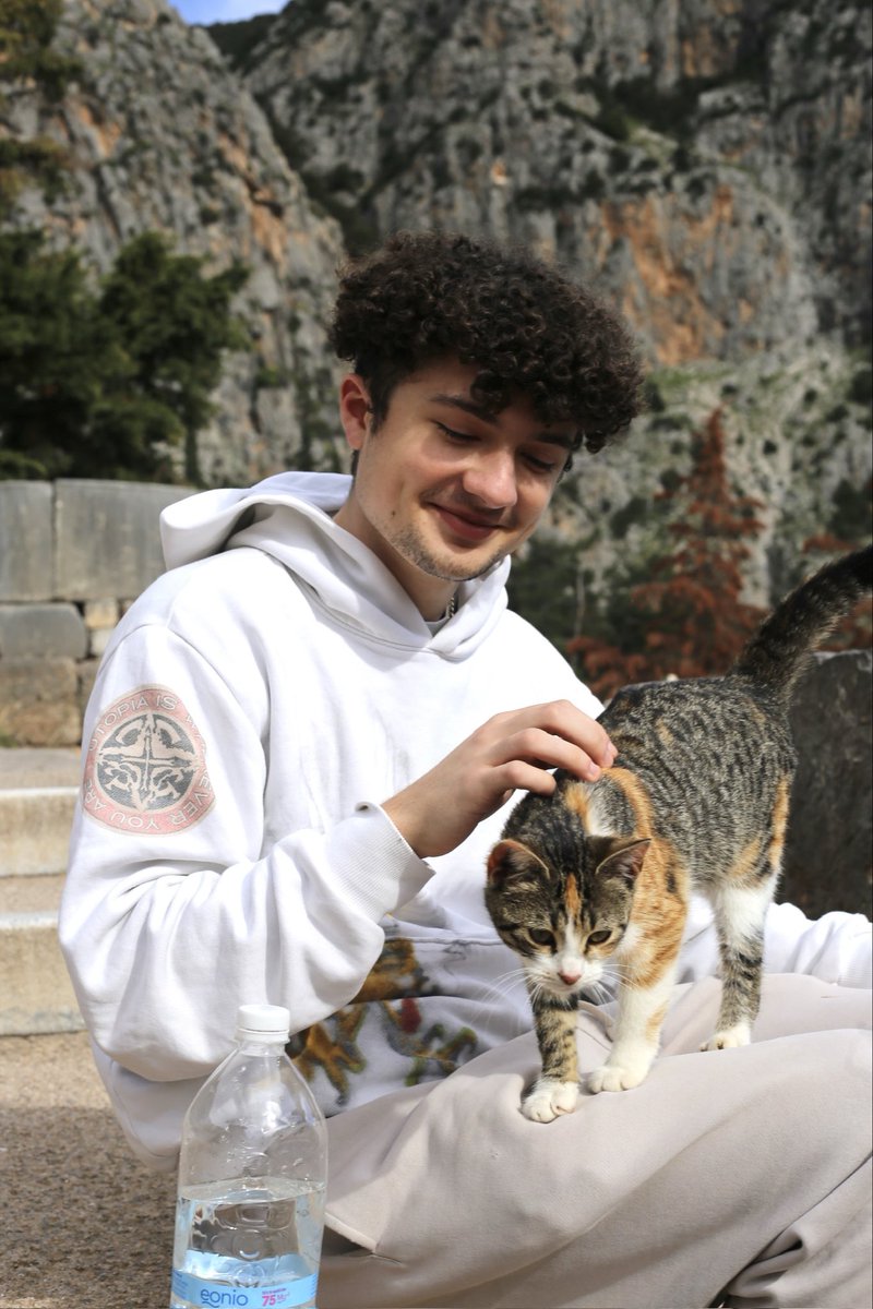 Tyler Bowman tweet media