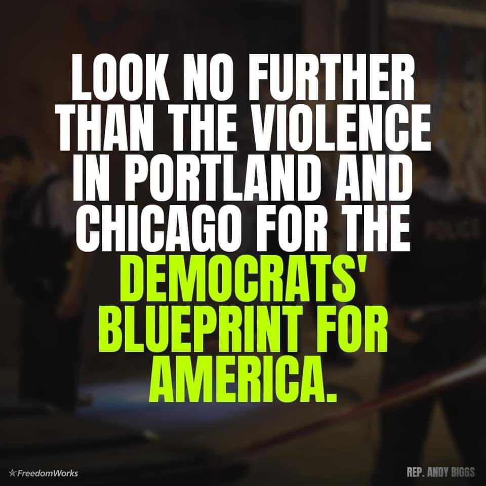 AmericanPatriotRule tweet media