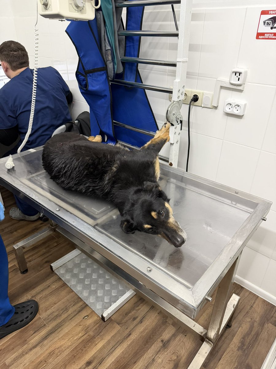 ma chérie tweet media