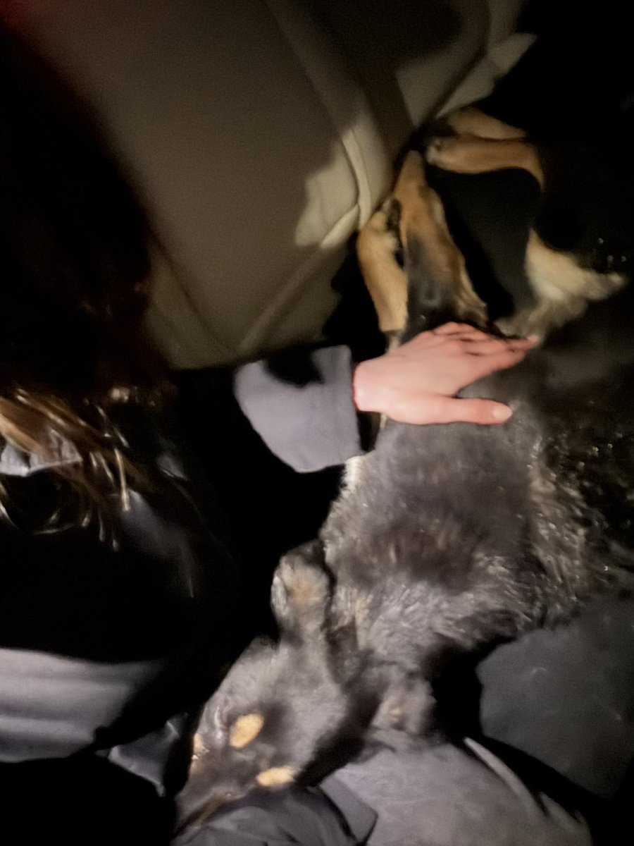 ma chérie tweet media