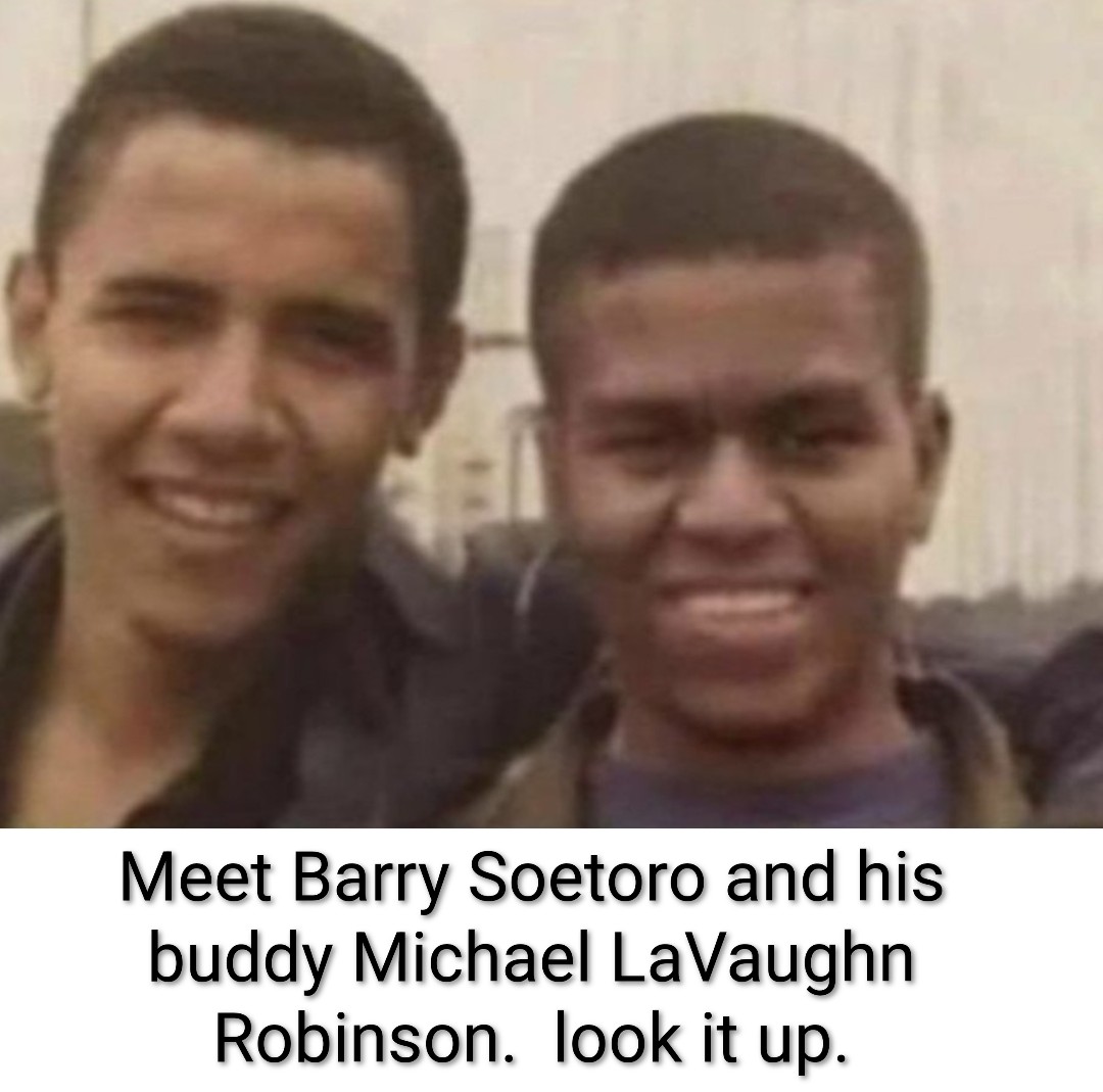 Palmer#1964 tweet media