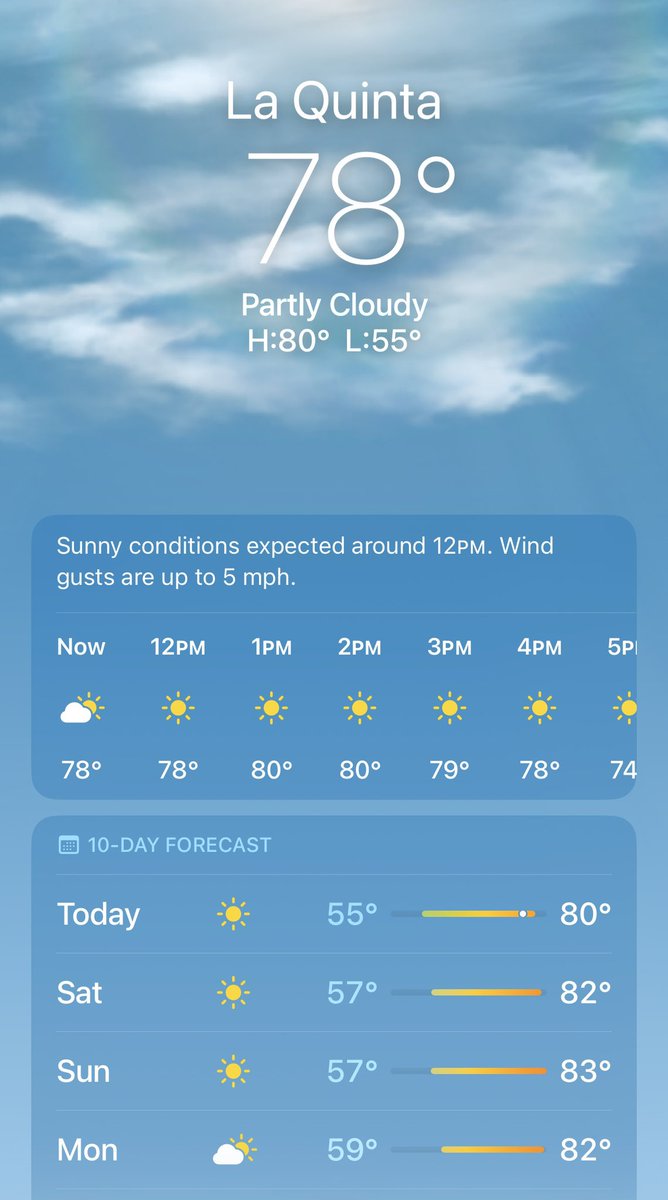 TheBG_Show's tweet image. Time to go see the #Lioness