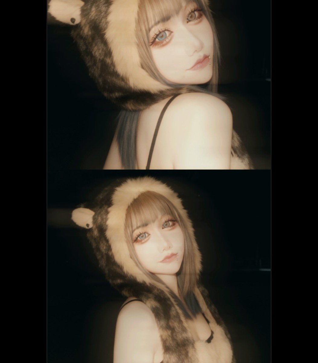 🦊❄️