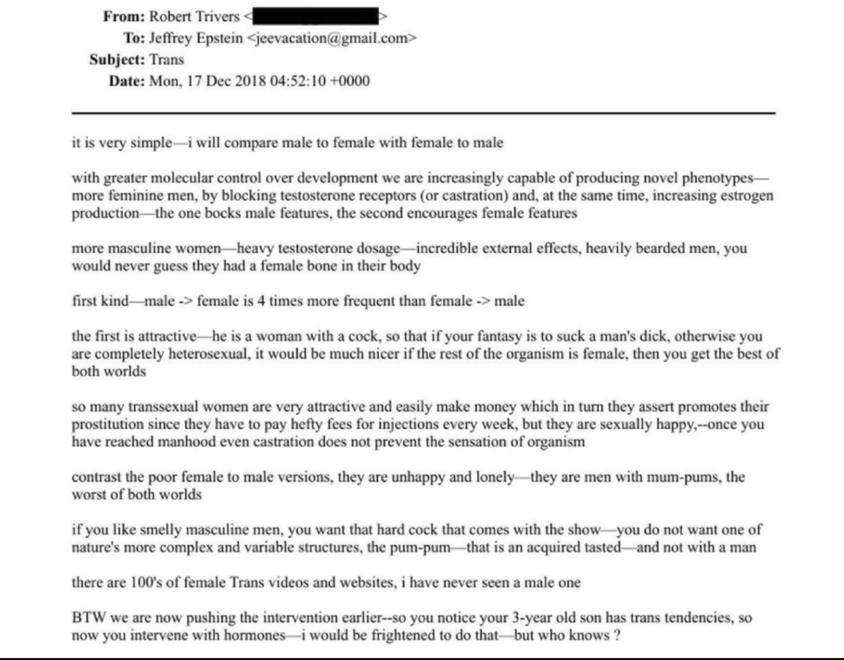 DzogJomo's tweet photo. It's all about human rights, guys.... Right?  
🧐😂😡 

#EpsteinFiles #TransgenderRights https://t.co/HQco0SRPDp