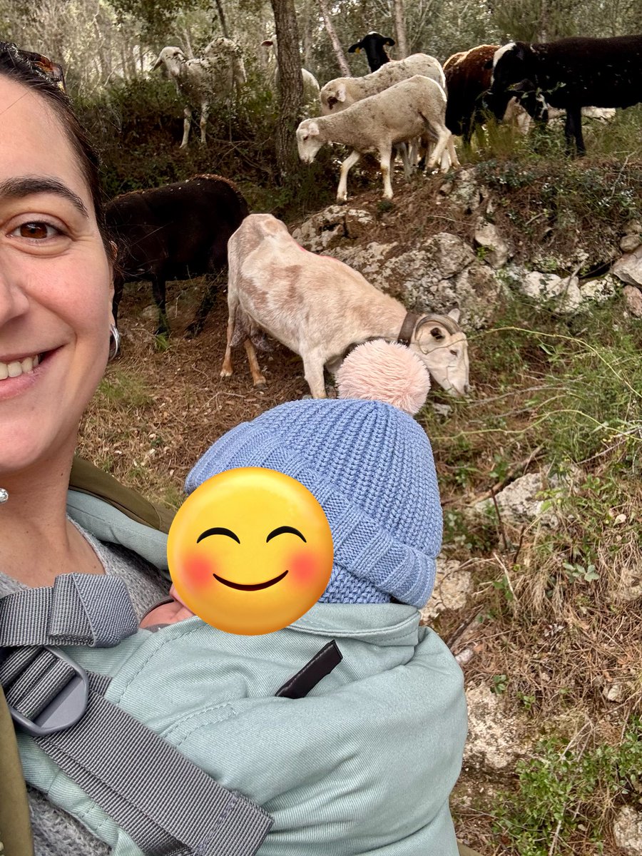 ελευθερία tweet media