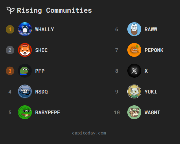 Rising Meme Communities Today on Capitoday!

1️⃣ $WHALLY <a href="/WhallyOnX/">WHALLY</a>
2️⃣ $SHIC <a href="/Shibacoin_Shic/">Shibacoin (SHIC)</a>
3️⃣ $PFP <a href="/pumpfun_pepe/">Pumpfun Pepe (PFP)</a>
4️⃣ $NSDQ 
5️⃣ #BABYPEPE 
6️⃣ $RAWW <a href="/RawwMilkCoin/">RAWW MILK</a>
7️⃣ $PEPONK <a href="/peponkwtf/">Peponk</a>
8️⃣ $X <a href="/X0nAn0n/">Xanon</a>
9️⃣ $YUKI <a href="/Yukicatofficial/">Yuki the cat</a>
🔟 $WAGMI <a href="/WagmiCTO69420/">Wagmi</a>