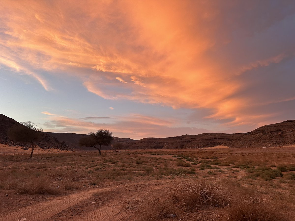 EvolveLeadLove's tweet image. Golden Hour and Sky looked stunning ….

#Exploring #Syrian #Haj #Route in #SaudiArabia