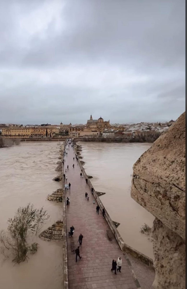 Cortan el acceso al puente romano. Impresiona verlo así.
#CordobaEsp