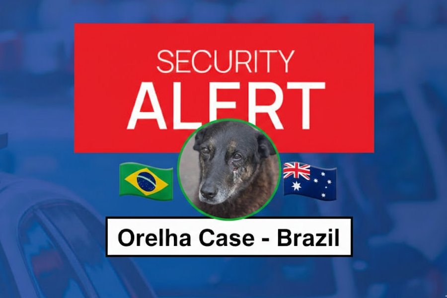 🚨Community dog Orelha was beaten on a Brazil beach. Reports say a suspect plans to flee to Australia. Please help us stop this and ensure justice. 
Use the hashtag #CPIDOORELHA for our campaign for justice.
 #AnimalCruelty #Australia 
#AnimalRightsAustralia #VGN