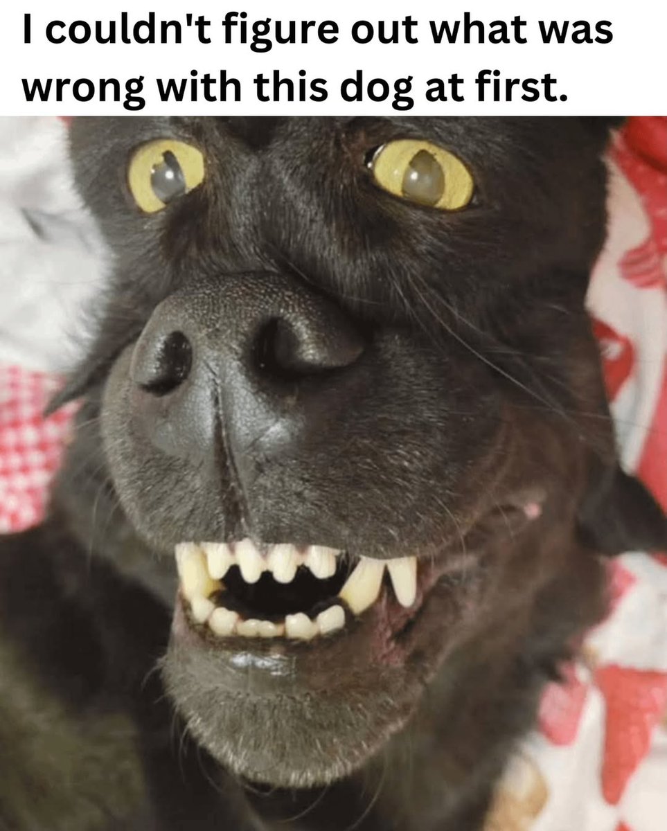 That's freaky! 🤣🤣🤣🤣🤣🤣