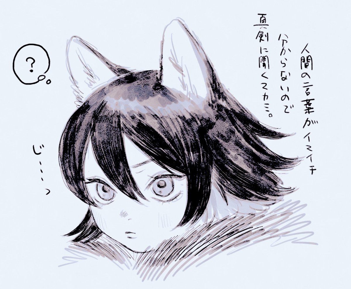 わからない狼 