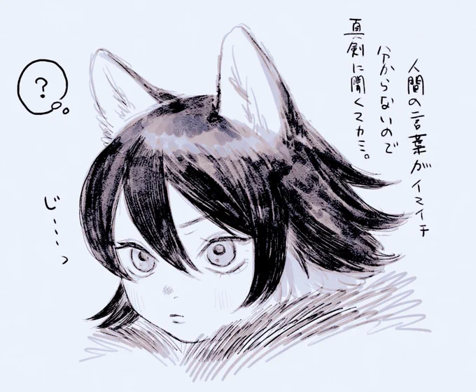 わからない狼 