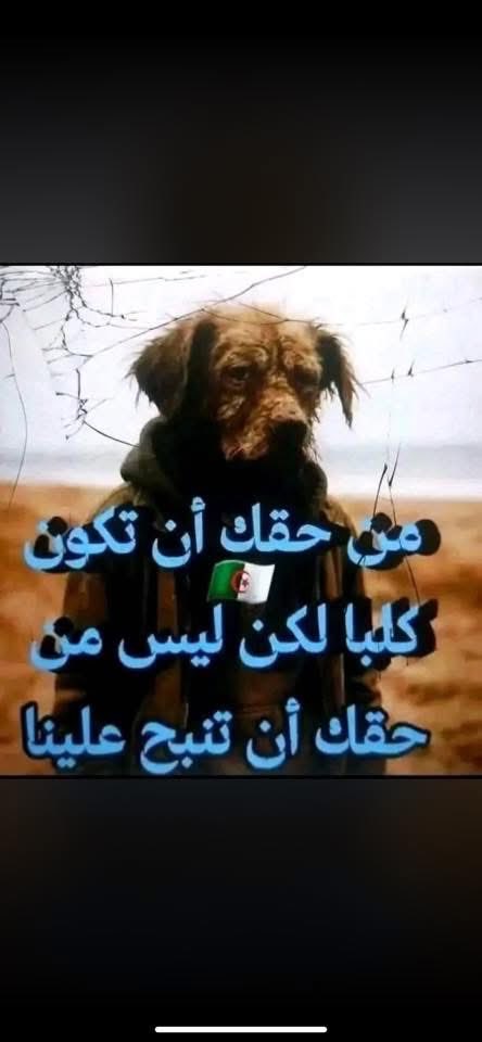Salam ELH tweet media