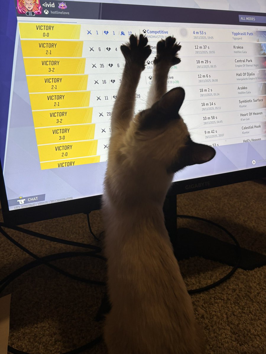 ❅ˎˊ˗ 🔞 tweet media