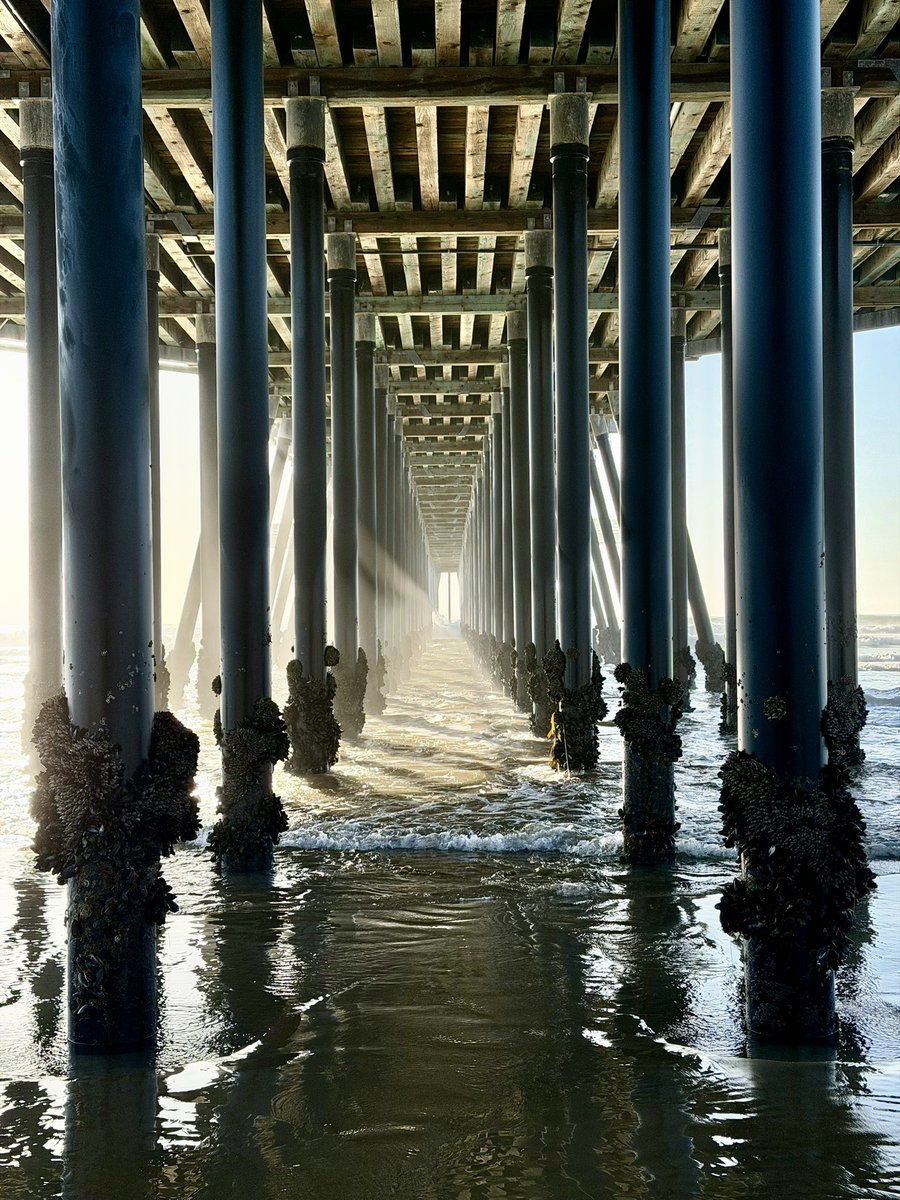 Jim Sullivan tweet media