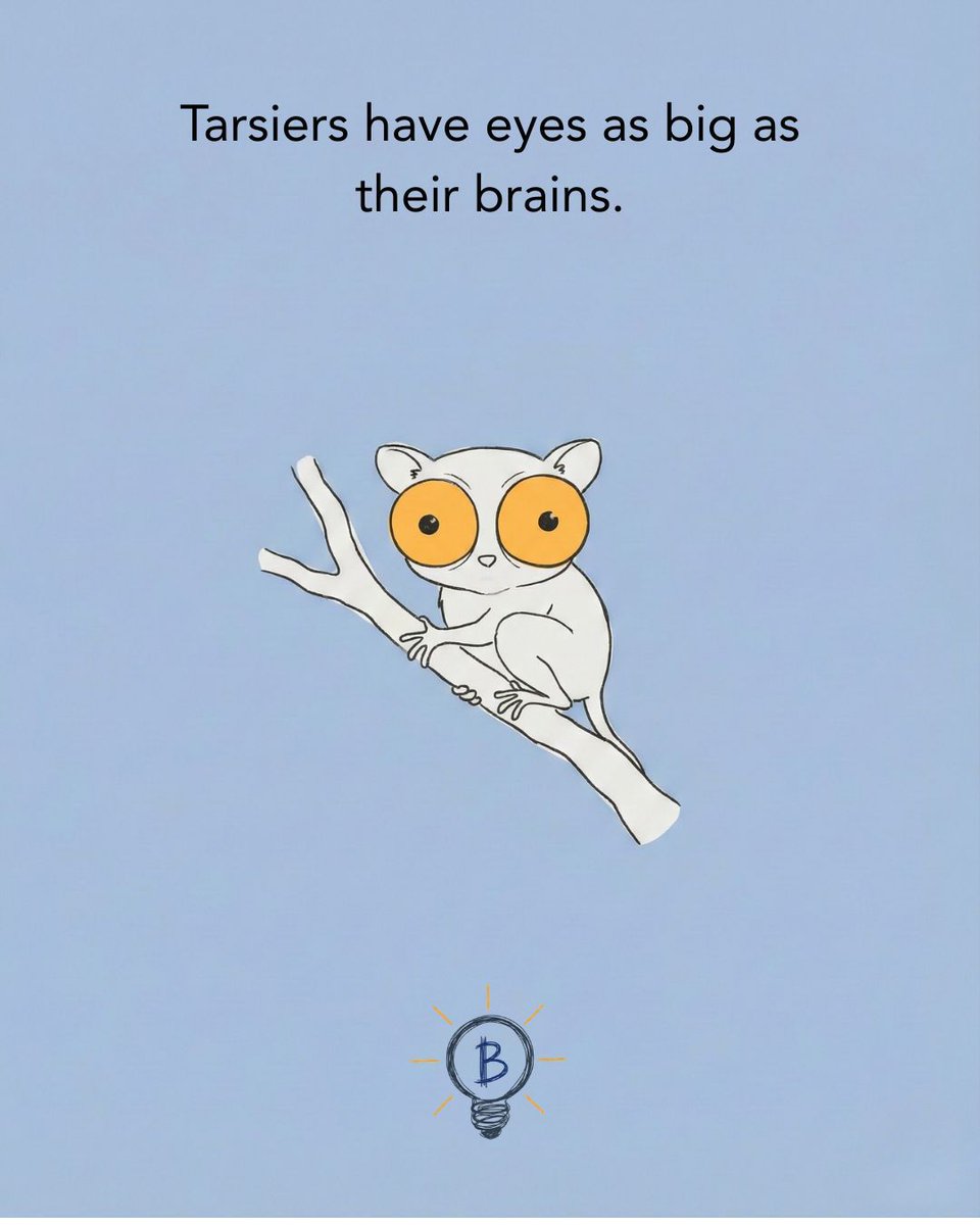 Ben Bickerstaff tweet media