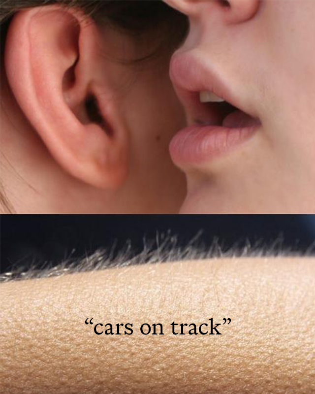 Visa Cash App Racing Bulls F1 Team tweet media