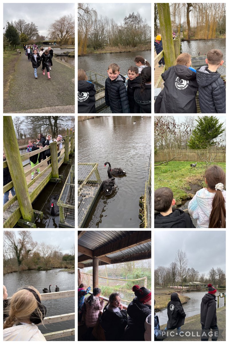 Wellesbourne Primary Year 4 tweet media
