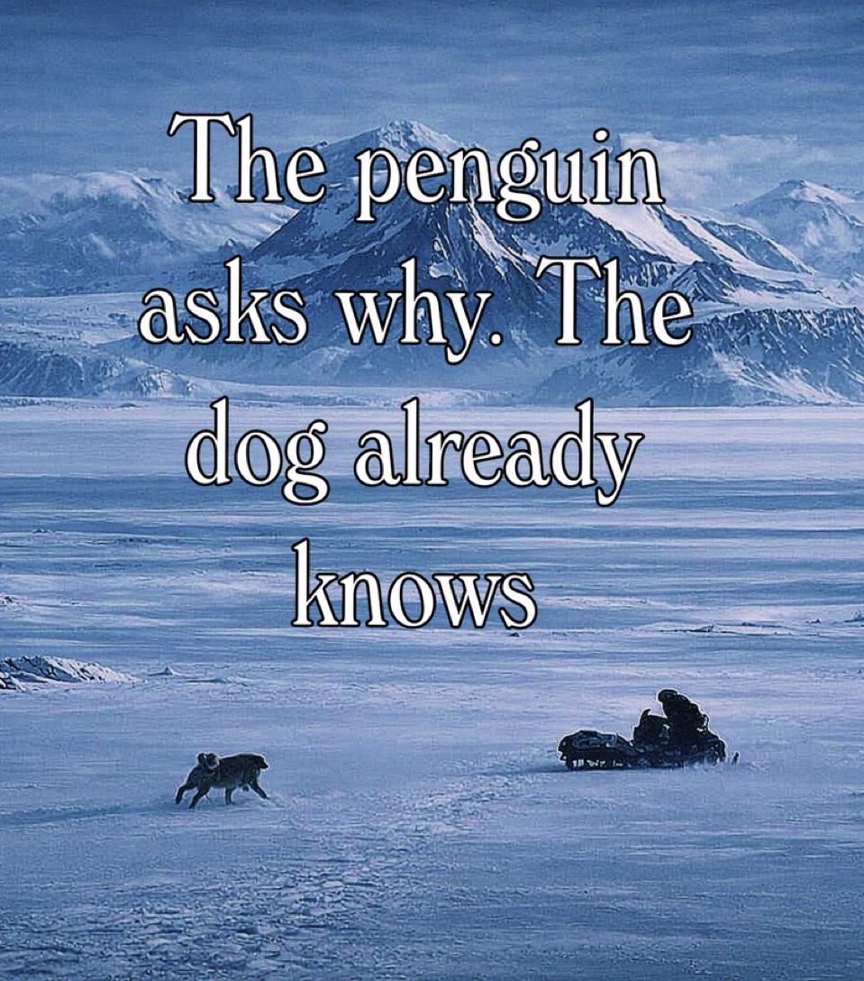 Happy People: A Year in the Taiga (2010)

A documentary by Dmitry Vasyukov, narrated by Werner Herzog (Nihilist Penguin)

A hunter rides across 150km of snow and frozen lakes, his dog running beside him — wild, relentless, alive.

Like Herzog’s Antarctic penguin: same raw,