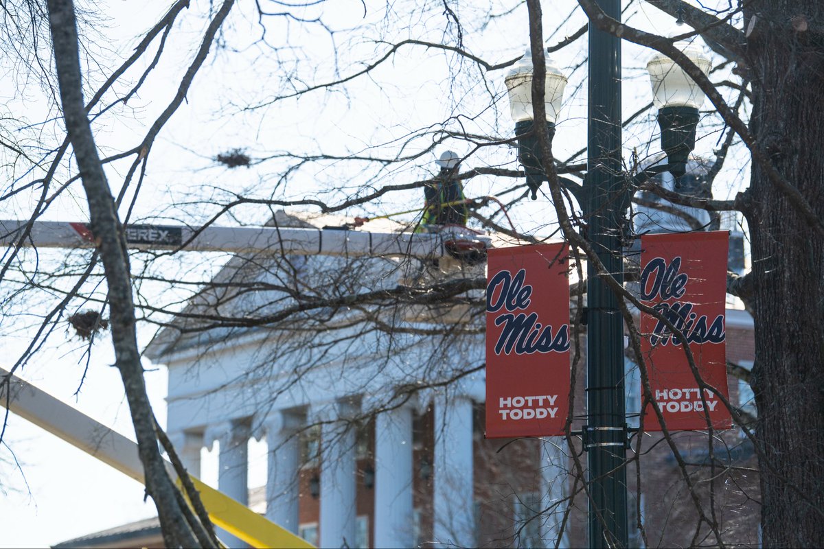 William Kneip tweet media