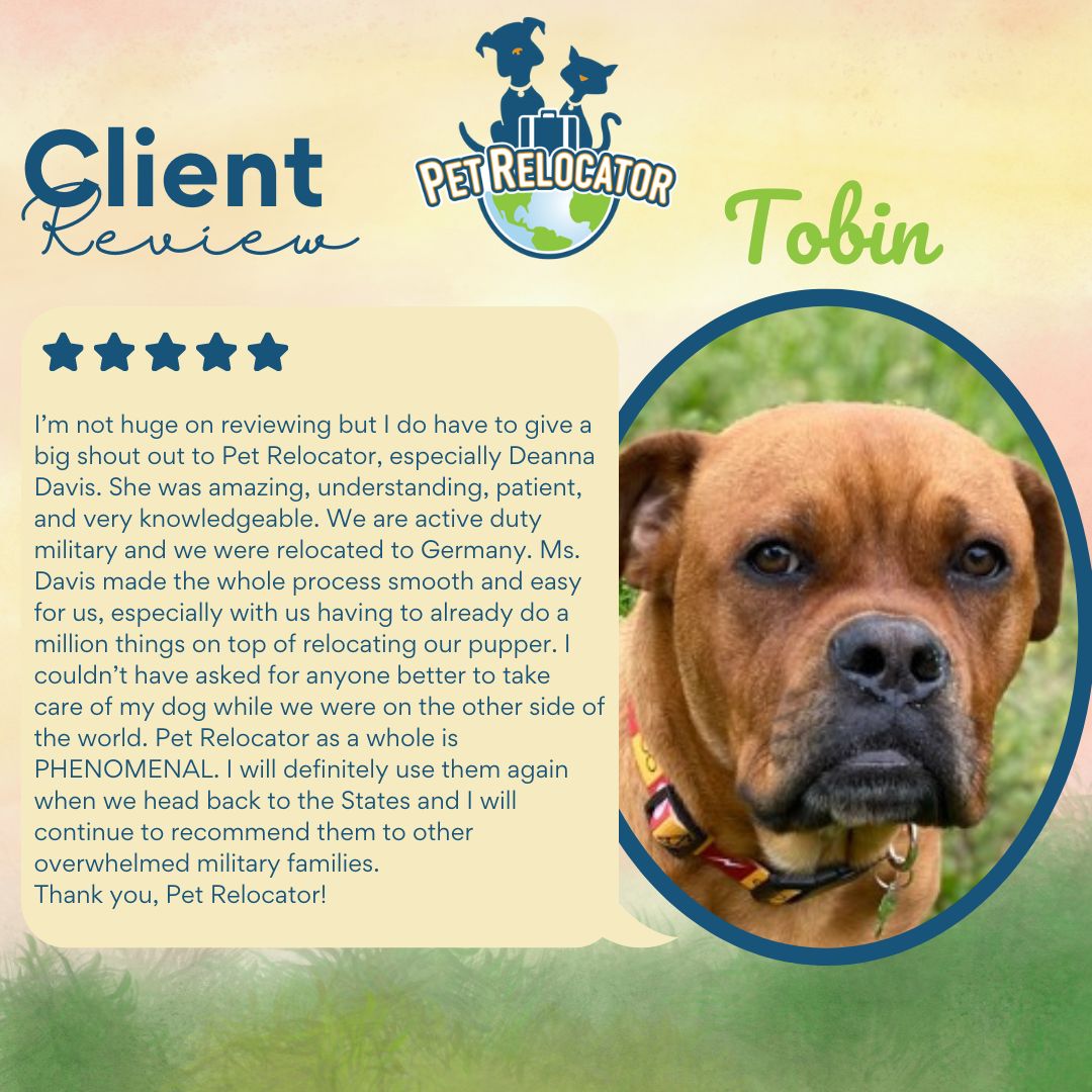 PetRelocator's tweet photo. Helping military families relocate with their pets is something we take to heart. We’re so grateful to have been trusted with Tobin’s journey to Germany.

Thank you for the kind words and for trusting Pet Relocator with your pup and your family. https://t.co/so0hZvDcqV