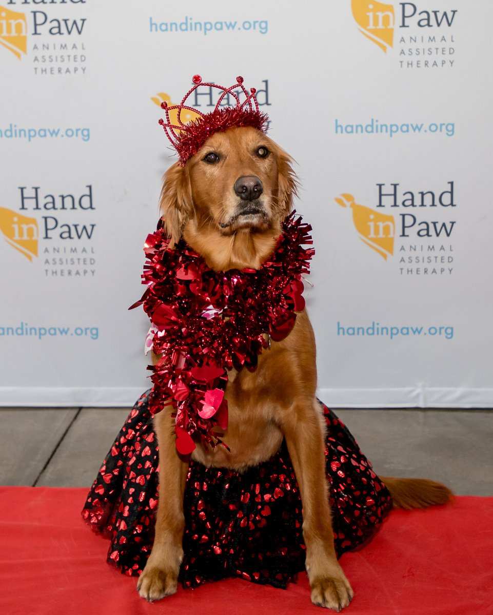 Hand in Paw tweet media