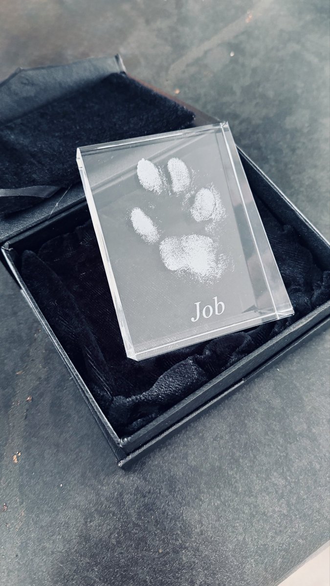 Barbara Babsbloemenhuis tweet media